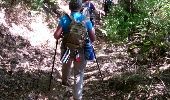Trail Walking Mende - Mende - La Fage - Photo 3