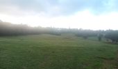 Tocht Stappen Le Cayrol - Abbaye de Bonneval - La Bastide d'Aubrac - Photo 13