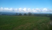 Tour Wandern Le Cayrol - Abbaye de Bonneval - La Bastide d'Aubrac - Photo 8