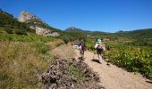 Trail Walking Gigondas - 170920 EnCours - Photo 5