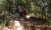 Trail Walking Gigondas - 170920 EnCours - Photo 4