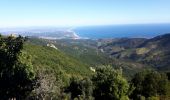 Randonnée Marche Collioure - Puig des 4 Termes depuis col de Baillaury - Photo 9