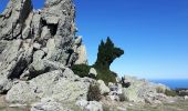 Excursión Senderismo Collioure - Puig des 4 Termes depuis col de Baillaury - Photo 2