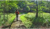 Trail Walking Saint-Hubert - Balade dans le domaine provincial de Mirwart - Photo 3