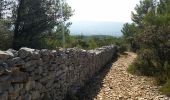 Trail Walking Lagnes - ISLE-sur-la-SORGUE (LAGNES ... Mur de la Peste. - Photo 1