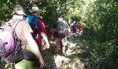 Trail Walking Crestet - 170922 EnCours - Photo 1