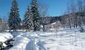 Trail Snowshoes Bellefontaine - Bellefontaine - lac de Bellefontaine - Photo 2