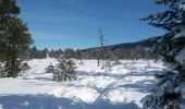 Trail Snowshoes Bellefontaine - Bellefontaine - lac de Bellefontaine - Photo 4