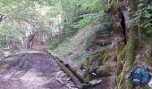Trail Walking Chichilianne - Le Platary - Photo 1