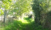 Trail Walking Honfleur - CRAB : Du côté de Honfleur - Photo 18