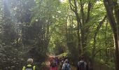 Tour Wandern Honfleur - CRAB : Du côté de Honfleur - Photo 14