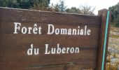 Tour Wandern Maubec - ISLE-sur-la-SORGUE (MAUBEC ... sommet des Fourcats) - Photo 3