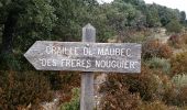 Trail Walking Maubec - ISLE-sur-la-SORGUE (MAUBEC ... sommet des Fourcats) - Photo 2