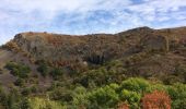 Trail Walking Pranles - volcan des chirouses - Photo 3