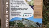 Trail Walking Pranles - volcan des chirouses - Photo 4