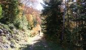 Trail Walking Val-de-Sos - 170929 En Cours - Photo 10
