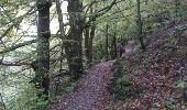 Trail Walking Auzat - 171002 EnCours - Photo 8