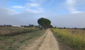 Excursión Senderismo Lunel - les cabaniers de Lunel - Photo 5