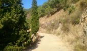Trail Other activity Salares - Canillas de Albeda - Photo 4