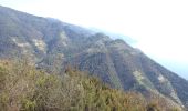 Tour Wandern Levanto - levante-vernassa - Photo 7