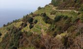 Trail Walking Riomaggiore - manterena-corneglia - Photo 3
