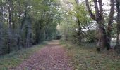 Trail Walking Conflans-sur-Loing - Conflans sur Loing 45 6km2 - Photo 4