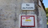Trail Walking Saint-Brice - entre vignes et Charente  - Photo 6