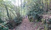 Trail Walking Auzat - 171006.1 EnCours - Photo 1