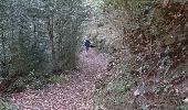 Trail Walking Auzat - 171006.2 EnCours - Photo 14