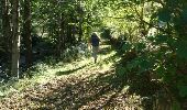 Trail Walking Auzat - 171006.2 EnCours - Photo 8