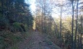 Trail Walking Val-de-Sos - 171007 EnCours - Photo 14