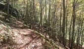 Trail Walking Val-de-Sos - 171007 EnCours - Photo 11