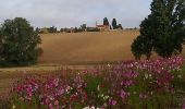 Tour Wandern Lacroix-Falgarde - gleyzette rebigues - Photo 6