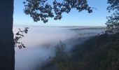 Excursión Bici de montaña Herbeumont - 20171014 Herbeumont J2 - Photo 12