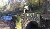 Tocht Mountainbike Herbeumont - 20171014 Herbeumont J2 - Photo 9