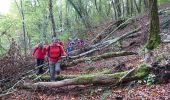 Trail Walking Arcy-sur-Cure - 171012 EnCours - Photo 5