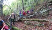 Trail Walking Arcy-sur-Cure - 171012 EnCours - Photo 4