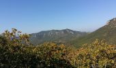 Randonnée V.T.T. La Roquebrussanne - Pas de la Nible - Les Chaberts - Photo 1