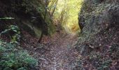 Trail Walking Burgdorf - Burgdorf - promenade d'automne 15.10.17 - Photo 14