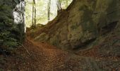 Trail Walking Burgdorf - Burgdorf - promenade d'automne 15.10.17 - Photo 13