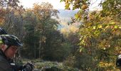 Excursión Bici de montaña Herbeumont - 20171015 Herbeumont Yeyette J3 - Photo 19