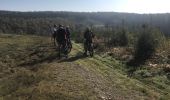 Excursión Bici de montaña Herbeumont - 20171015 Herbeumont Yeyette J3 - Photo 14