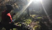 Tour Mountainbike Herbeumont - 20171015 Herbeumont Yeyette J3 - Photo 2