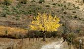 Excursión Senderismo Alba-la-Romaine - tce Alba 16-10-17 - Photo 2