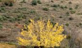 Excursión Senderismo Alba-la-Romaine - tce Alba 16-10-17 - Photo 1