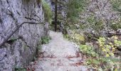Trail Walking Val-de-Travers - Môtiers - gorges de Pouetta Raisse circuit 16.10.17 - Photo 3