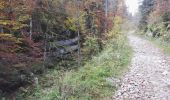 Trail Walking Val-de-Travers - Môtiers - gorges de Pouetta Raisse circuit 16.10.17 - Photo 19