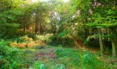 Tocht Stappen Corcy - en forêt de Retz_58_le bois de Hautwison - Photo 20