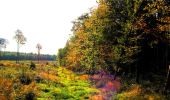 Tocht Stappen Corcy - en forêt de Retz_58_le bois de Hautwison - Photo 18
