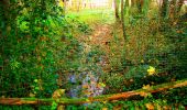 Trail Walking Corcy - en forêt de Retz_58_le bois de Hautwison - Photo 3